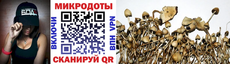 Галлюциногенные грибы Magic Shrooms Борисоглебск